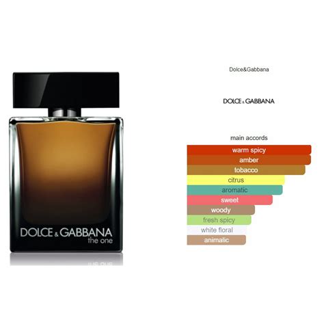 dolce gabana the one notes